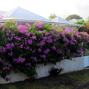 Soleil Sainte-Anne (Grande-Terre)